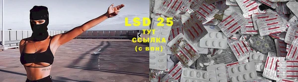 индика Белокуриха
