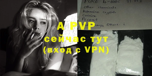 индика Белокуриха