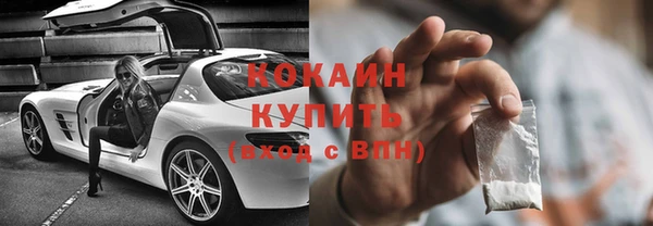 индика Белокуриха