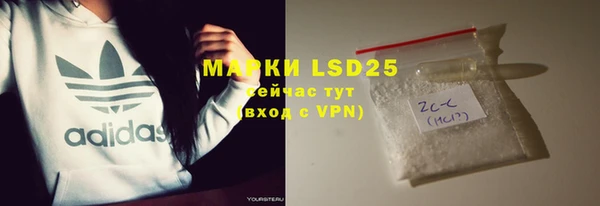 индика Белокуриха