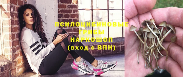 первитин Беломорск