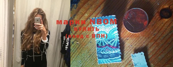 индика Белокуриха