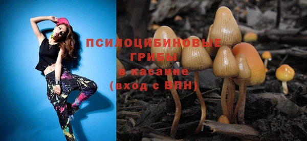 индика Белокуриха