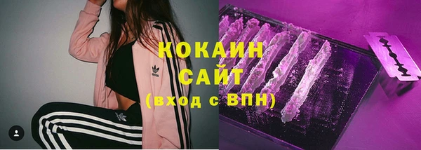 индика Белокуриха