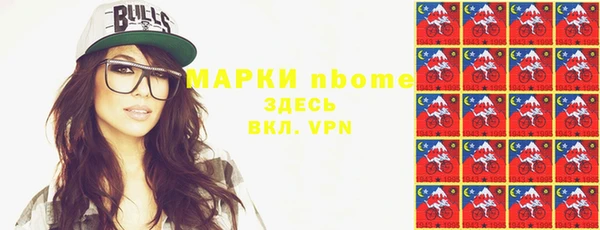 индика Белокуриха