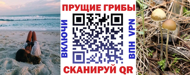 Галлюциногенные грибы Psilocybe  Гай 
